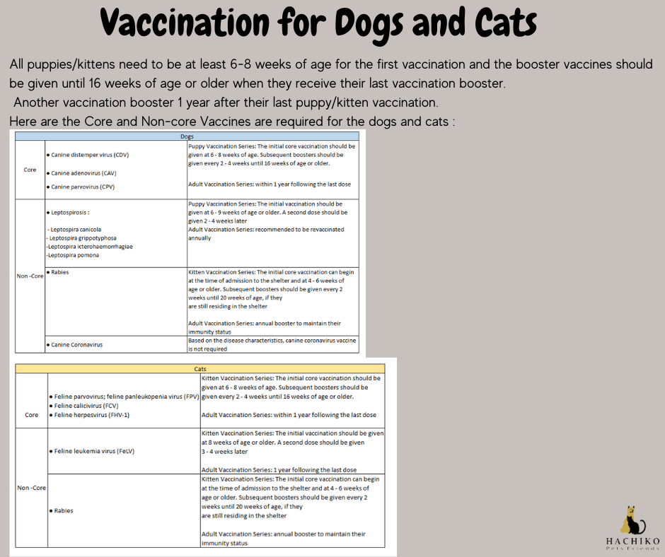 Vaccinations Schedule for Dogs and Cats in Singapore - last update 2020/11