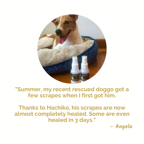 Angela's Review For Dermal Dog Treatment